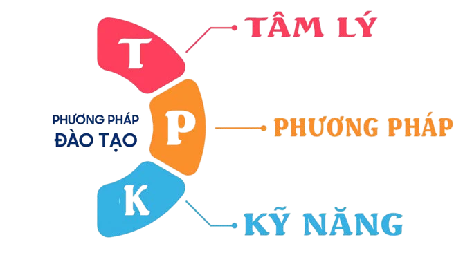  Chương trình đào tạo